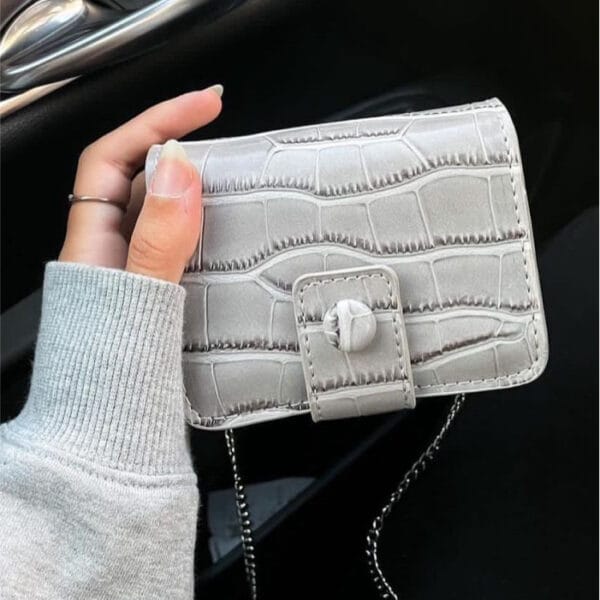 Mini Gray Bag